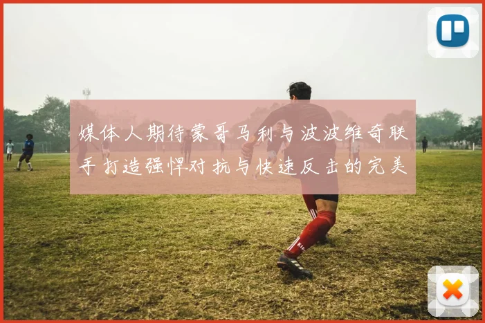媒体人期待蒙哥马利与波波维奇联手打造强悍对抗与快速反击的完美结合