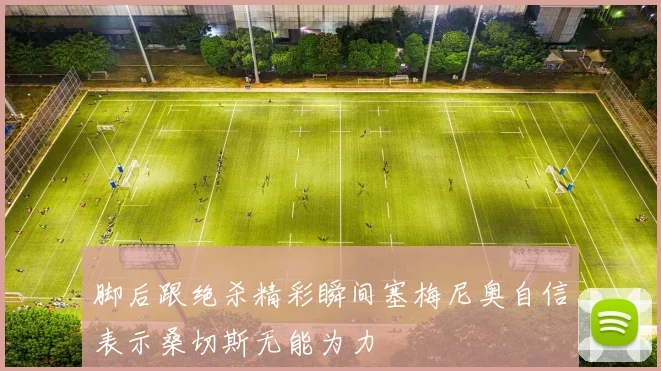 脚后跟绝杀精彩瞬间塞梅尼奥自信表示桑切斯无能为力