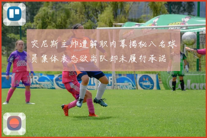 突尼斯主帅遭解职内幕揭秘八名球员集体表态欲离队却未履行承诺